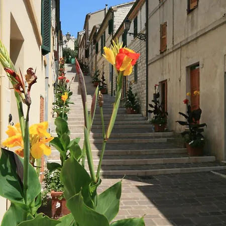 Bilocale In Piazza A Vista Mare Bellissima - Cod 485 *